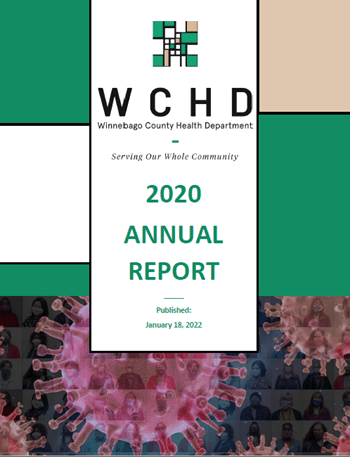年度报告- 2020年度报告