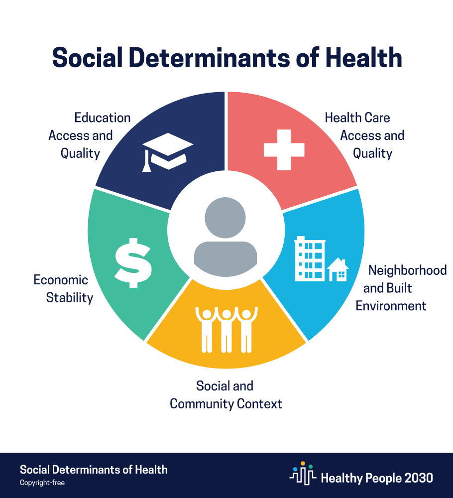 health equity - social determinants of health chart