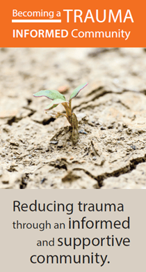 trauma informed community - plant growing through dry soil
