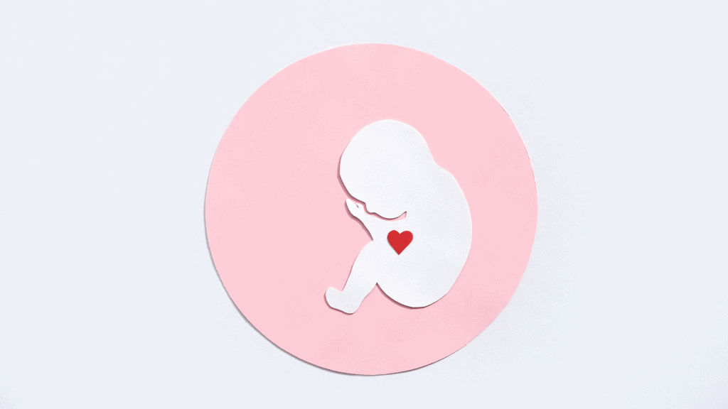 graphique d'un bébé dans l'utérus réalisé à partir de papier de construction