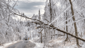 Image of a road through a forest after an winter storm