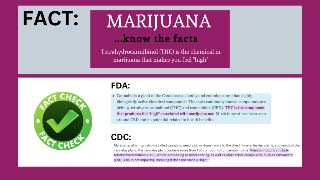 tetrahydrocannabinol or THC is the chemical in marijuana that makes you feel "high"