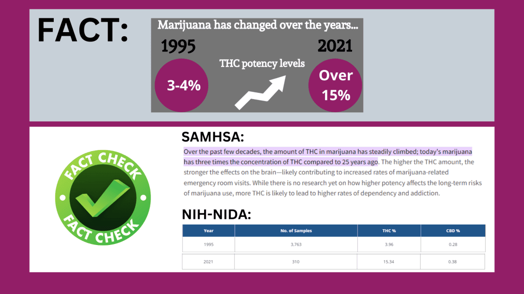THC potency levels in marijuana increased over 11% between 1995 and 2021