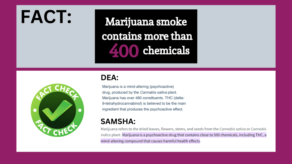 Fact: marijuana smoke contains more than 400 chemicals
