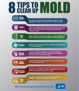 8 tips to clean up mold