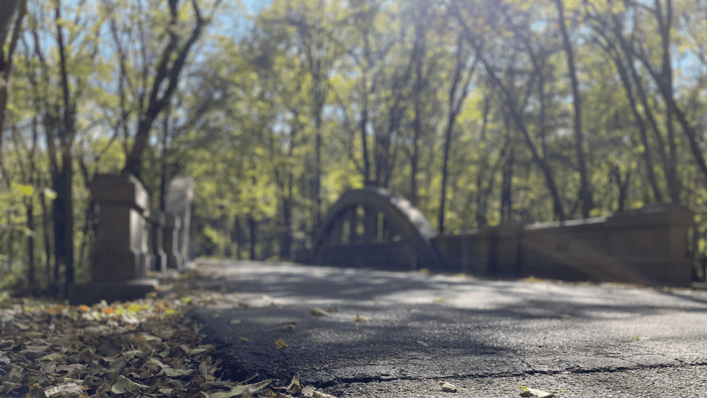 Bridge and trees in autumn
