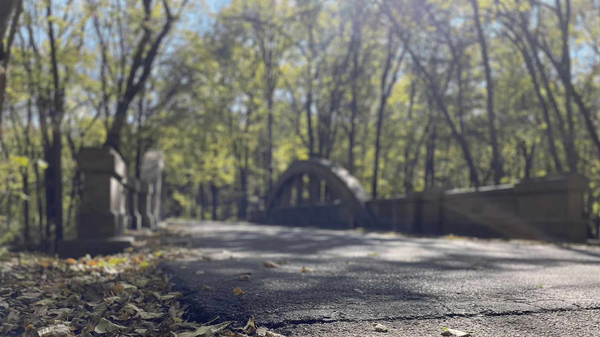 Bridge and trees in autumn