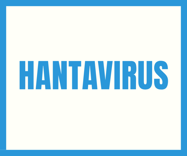 hantavirus