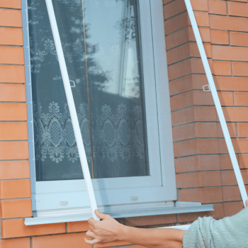 Window Screen